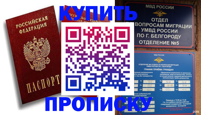 прописка иностранных граждан в Кеми